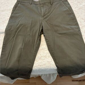 Express Men's Easy Care Olive Chino Pants